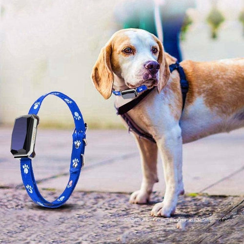 Traceur GPS pour animaux de compagnie Smartpaws